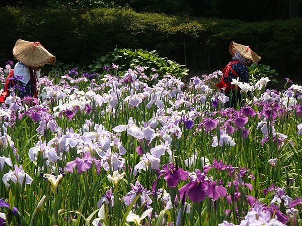 20100612 400.JPG