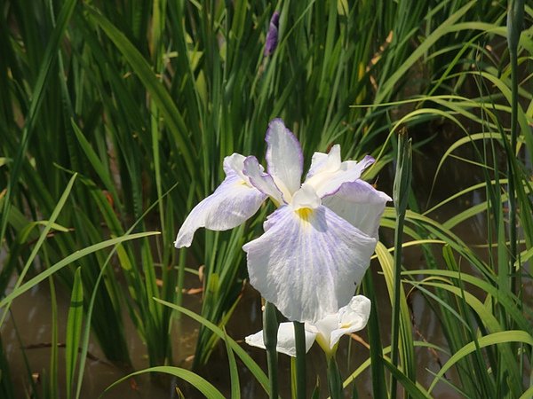 20100612 505.JPG