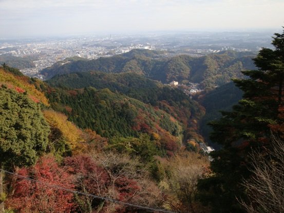20101121 002.JPG