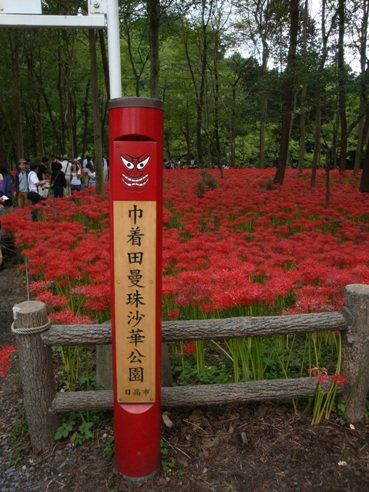 20101002 00.JPG