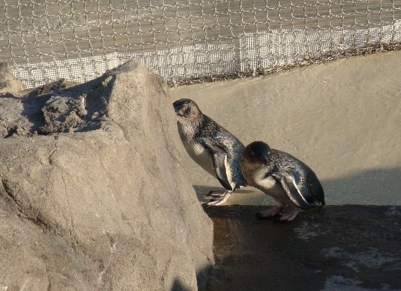 20110109 008.JPG