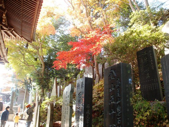 20101121 007.JPG