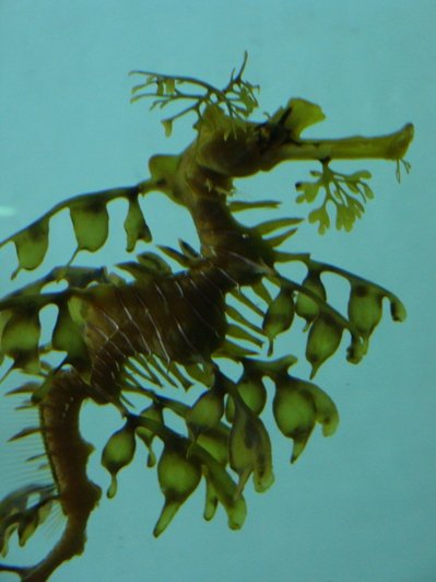 20110109 004.JPG