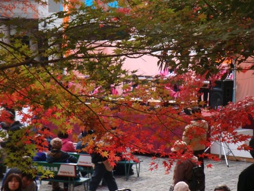 20101121 013.JPG