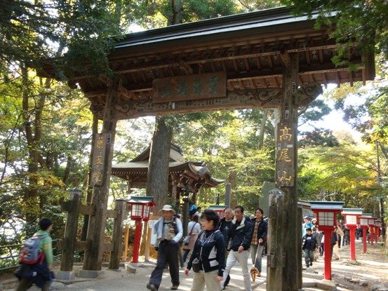 20101121 004.JPG
