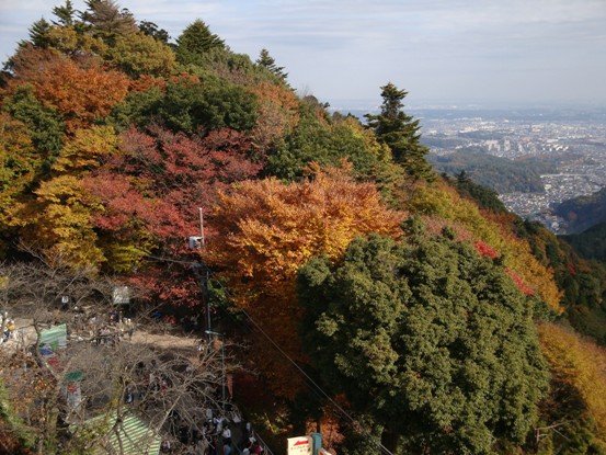 20101121 003.JPG