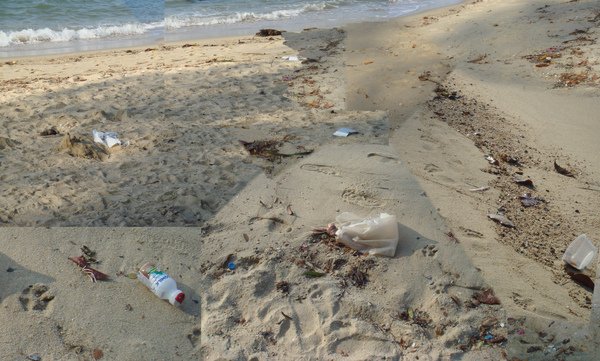 rubbish1.jpg