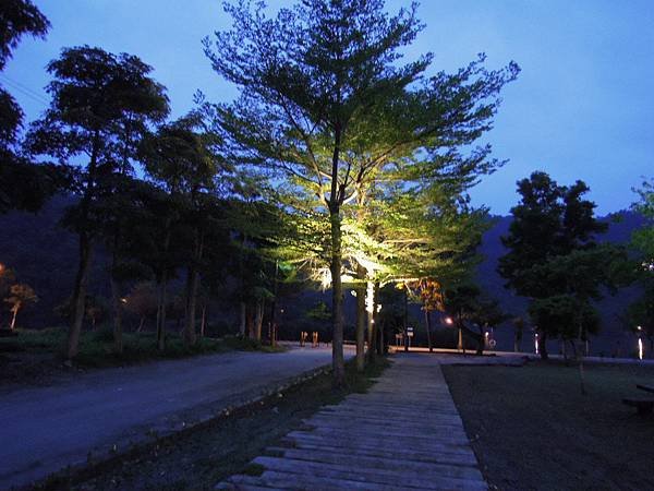 DSCN3909