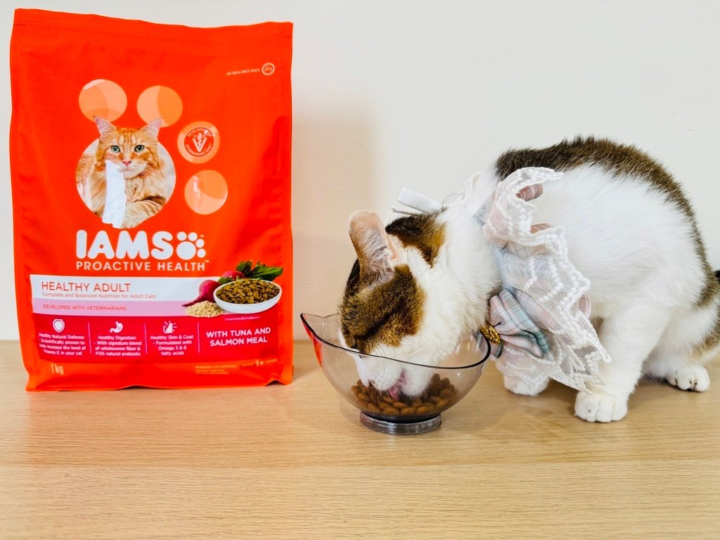 『貓糧/貓飼料推薦』IAMS™愛慕思™－健康優活系列，成貓營