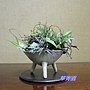 IMG_1374浮.jpg