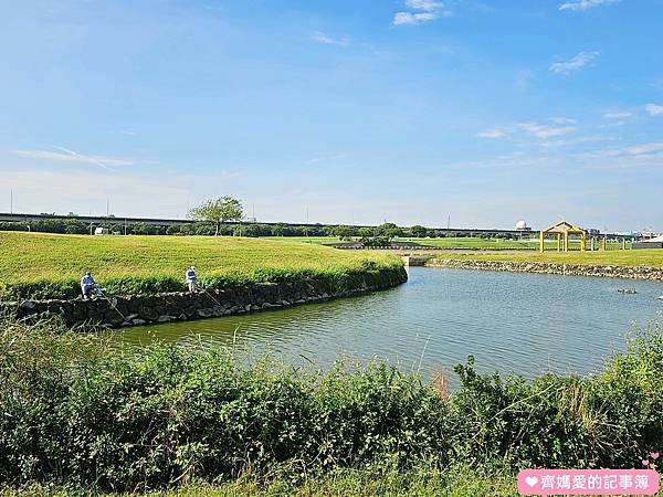 台北大直．美堤河濱公園 / 親水灣花海盛開