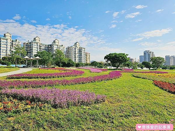 台北大直．美堤河濱公園 / 親水灣花海盛開