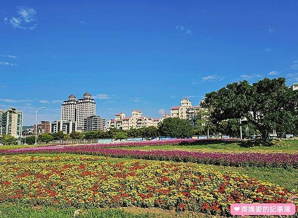 台北大直．美堤河濱公園 / 親水灣花海盛開