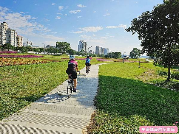 台北大直．美堤河濱公園 / 親水灣花海盛開