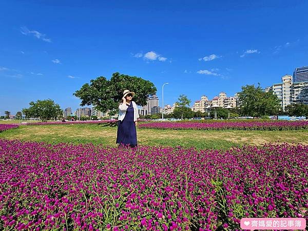 台北大直．美堤河濱公園 / 親水灣花海盛開