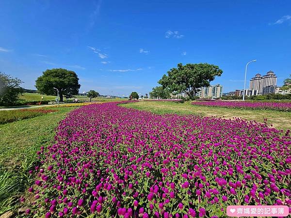 台北大直．美堤河濱公園 / 親水灣花海盛開