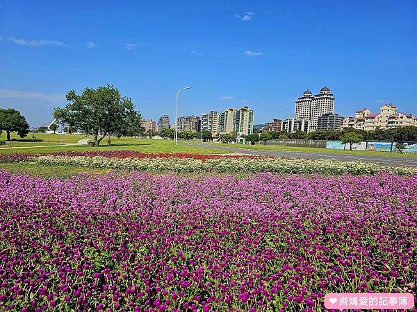 台北大直．美堤河濱公園 / 親水灣花海盛開