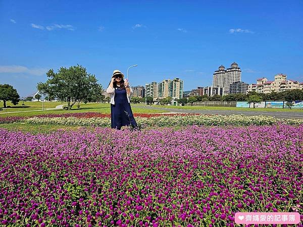 台北大直．美堤河濱公園 / 親水灣花海盛開