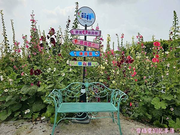 彰化員林．2024員林蜀葵花季 (大明里南區公園)