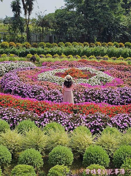 苗栗卓蘭．花露農場 Flower Home (繡球花季)