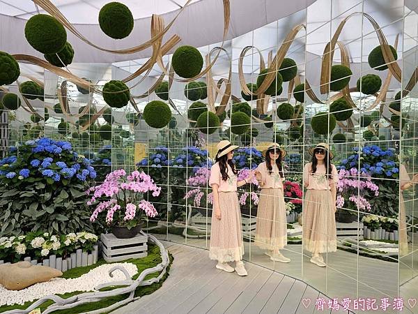 苗栗卓蘭．花露農場 Flower Home (繡球花季)