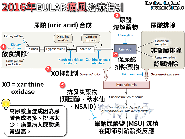 NEJS 20141119 (1).png