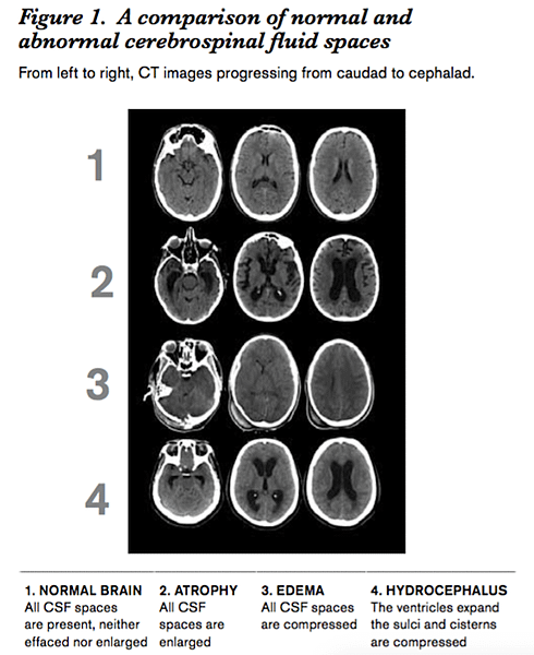 Fig1-1.png