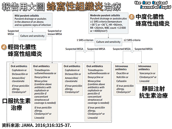 NEJS 20160907 (1).png