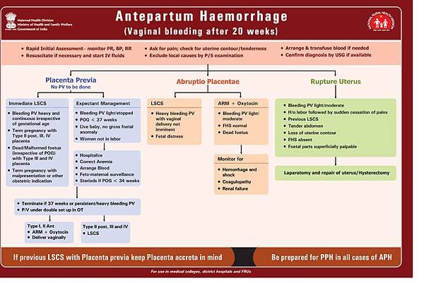 5 Antepartum-Hemorrhage.jpg