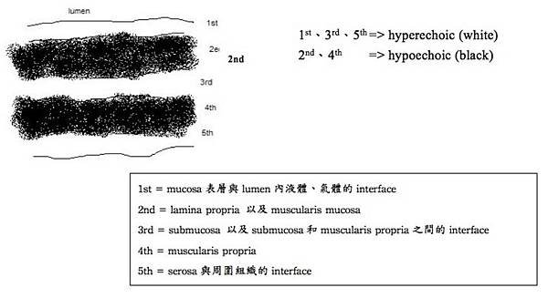 圖片1.jpg