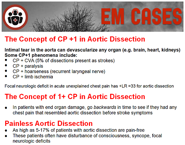 aorta-emc02_orig.png