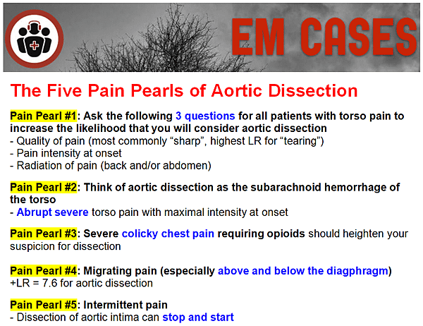 aorta-emc01_orig.png