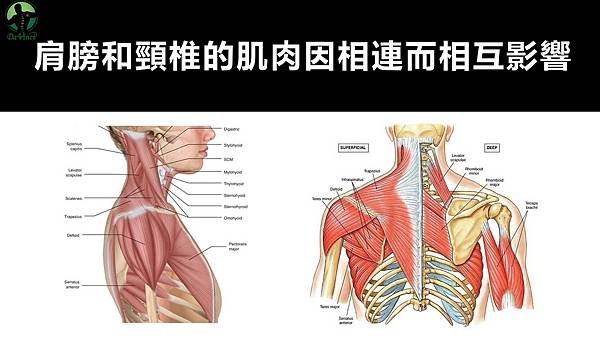 投影片3.JPG