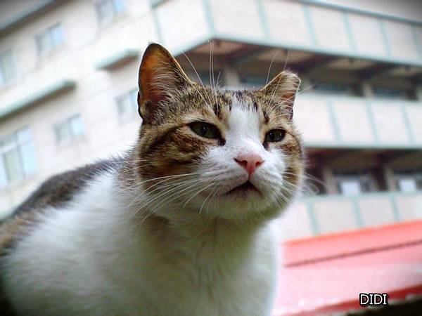 2014-05-04 06.51.38.jpg