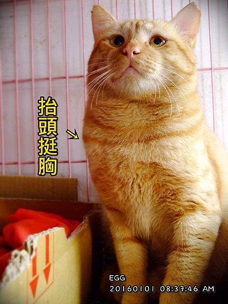 20160101.JPG