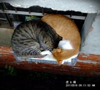 100516-2c.JPG