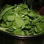 IMG_2942.JPG