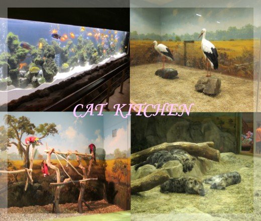 愛寶室內動物1.jpg