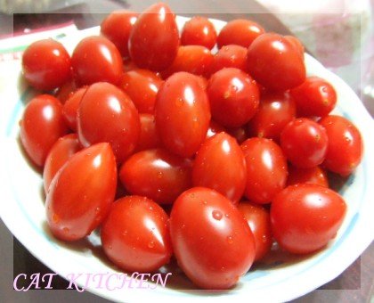 20090415小蕃茄.JPG
