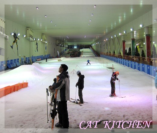 室內滑雪場跑道.JPG