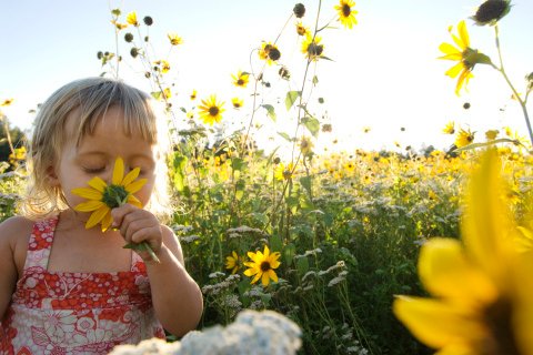 smelling