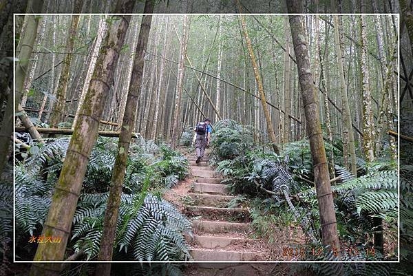 20151205 日月潭水社大山 (32)