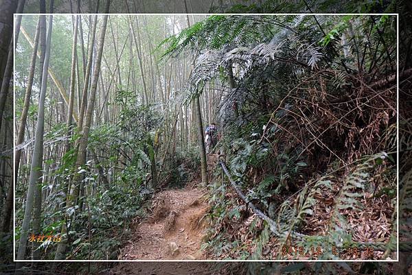 20151205 日月潭水社大山 (36)