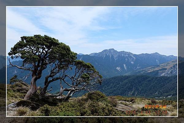 20160423再登合歡北峰 (13).jpg