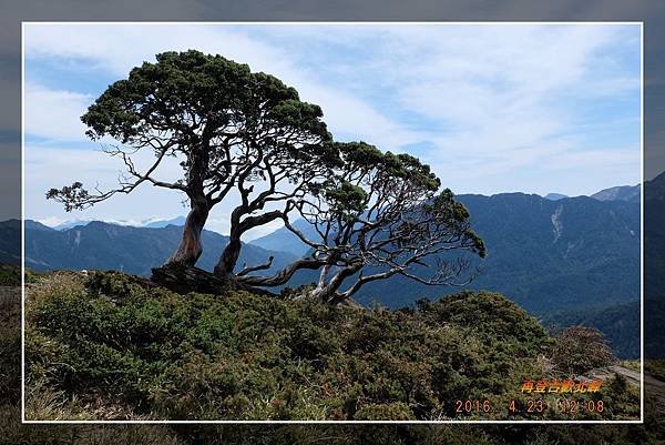 20160423再登合歡北峰 (14).jpg