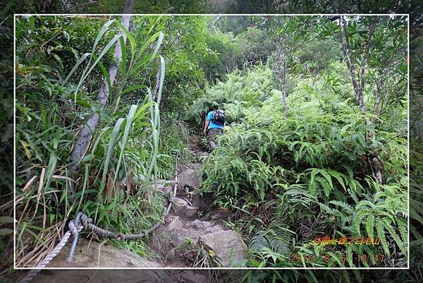 20160806谷關七雄之白毛山 (34).jpg