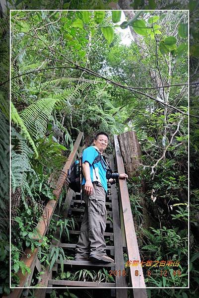 20160806谷關七雄之白毛山 (36).jpg