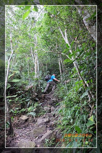 20160806谷關七雄之白毛山 (37).jpg