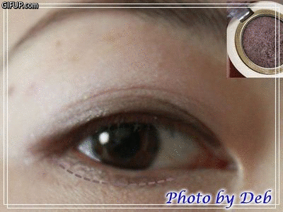 IMG_8263.gif