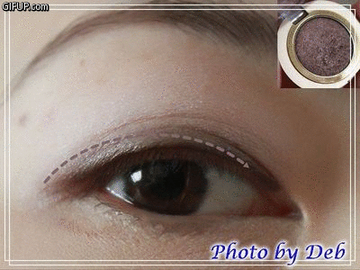 IMG_8261-1.gif